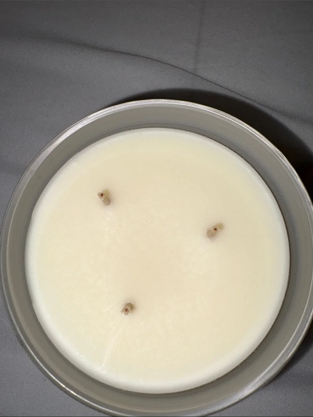 Bath & Body Works White Barn candle 14.5 oz 3 wick new Currant and Blue Jasmine